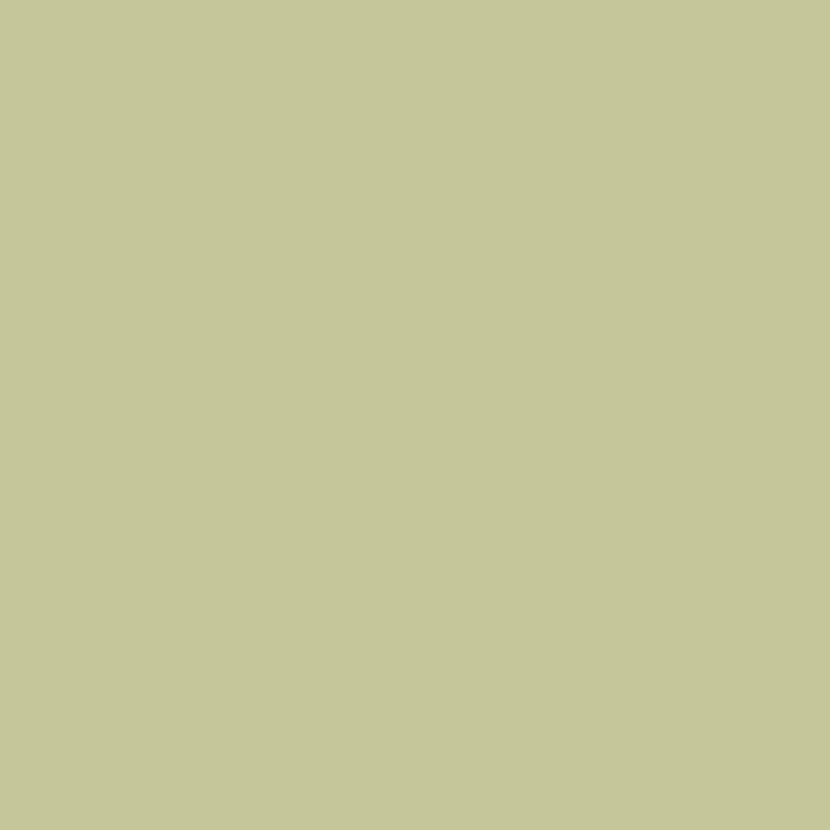 Avocado Paint