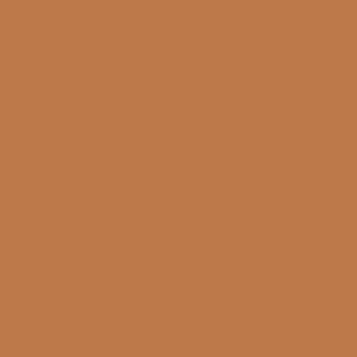 Burnt Orange Paint