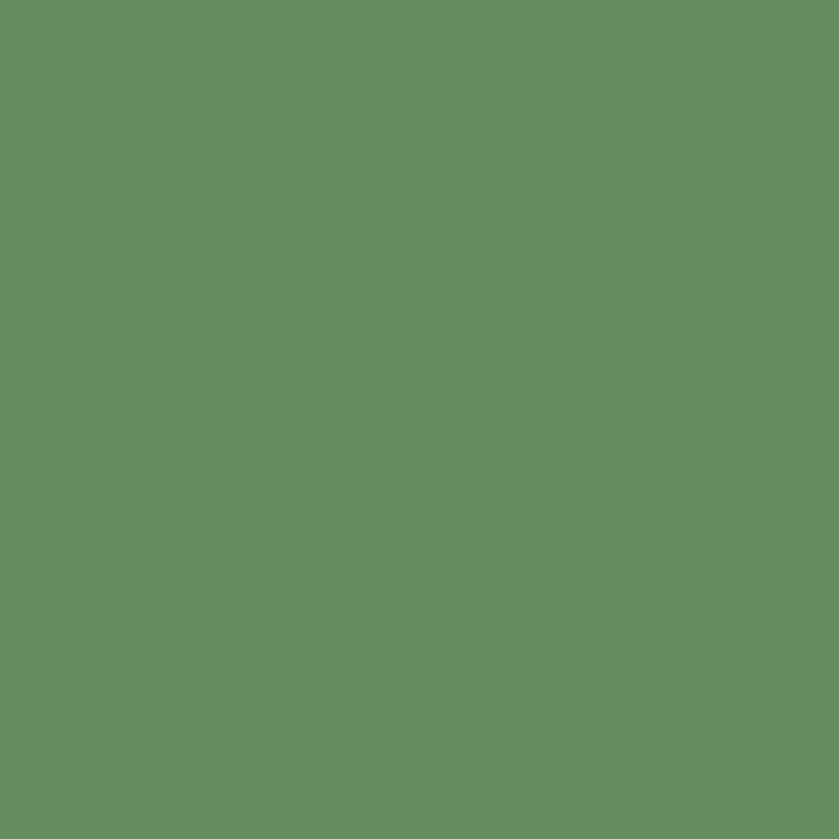 Moss Paint