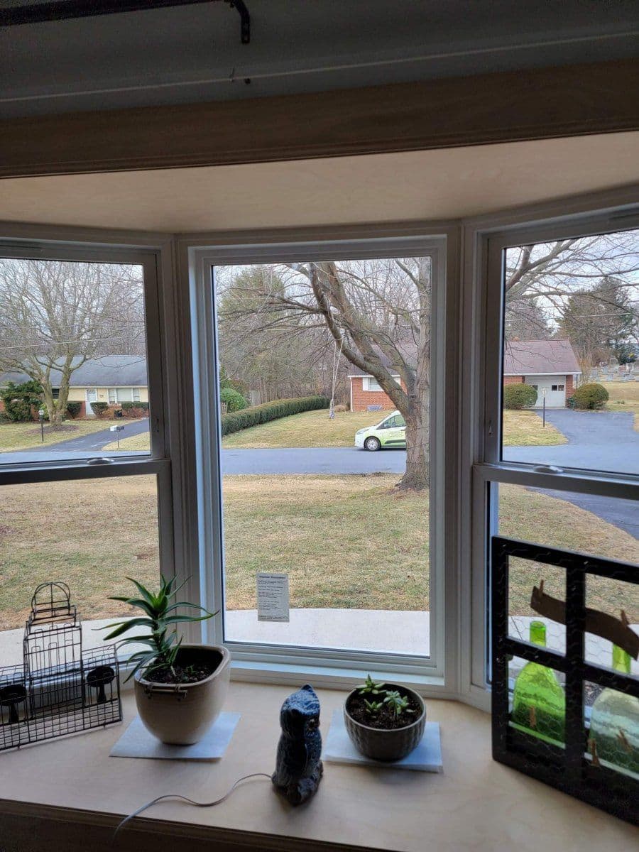 Bay Window 