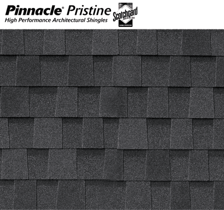 Pristine Black