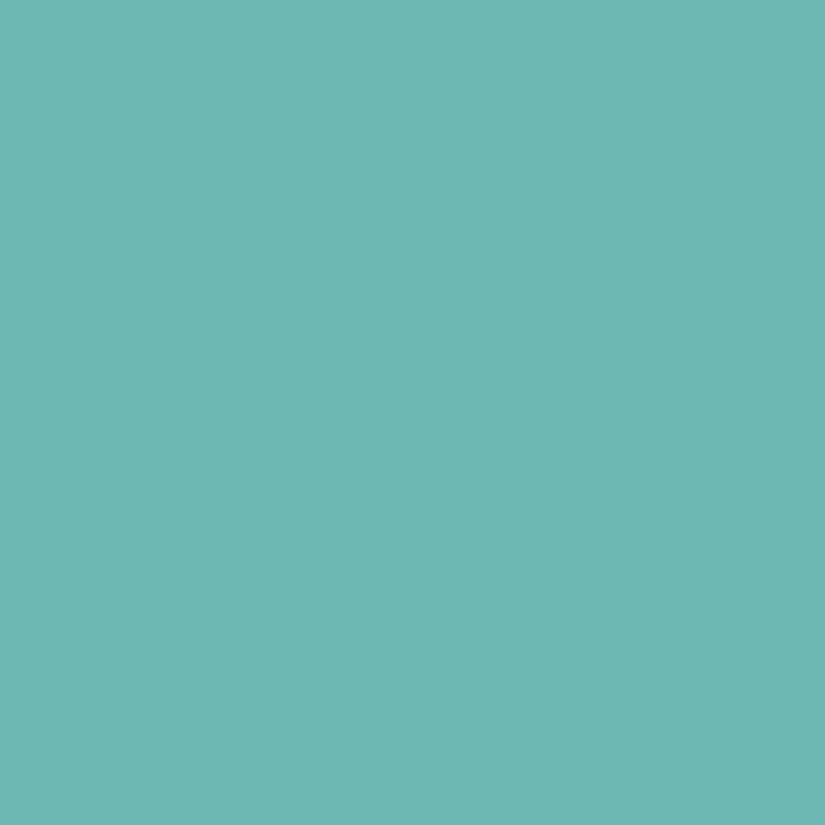 Robin's Egg Paint