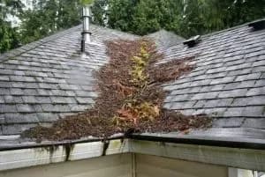 Roofing
