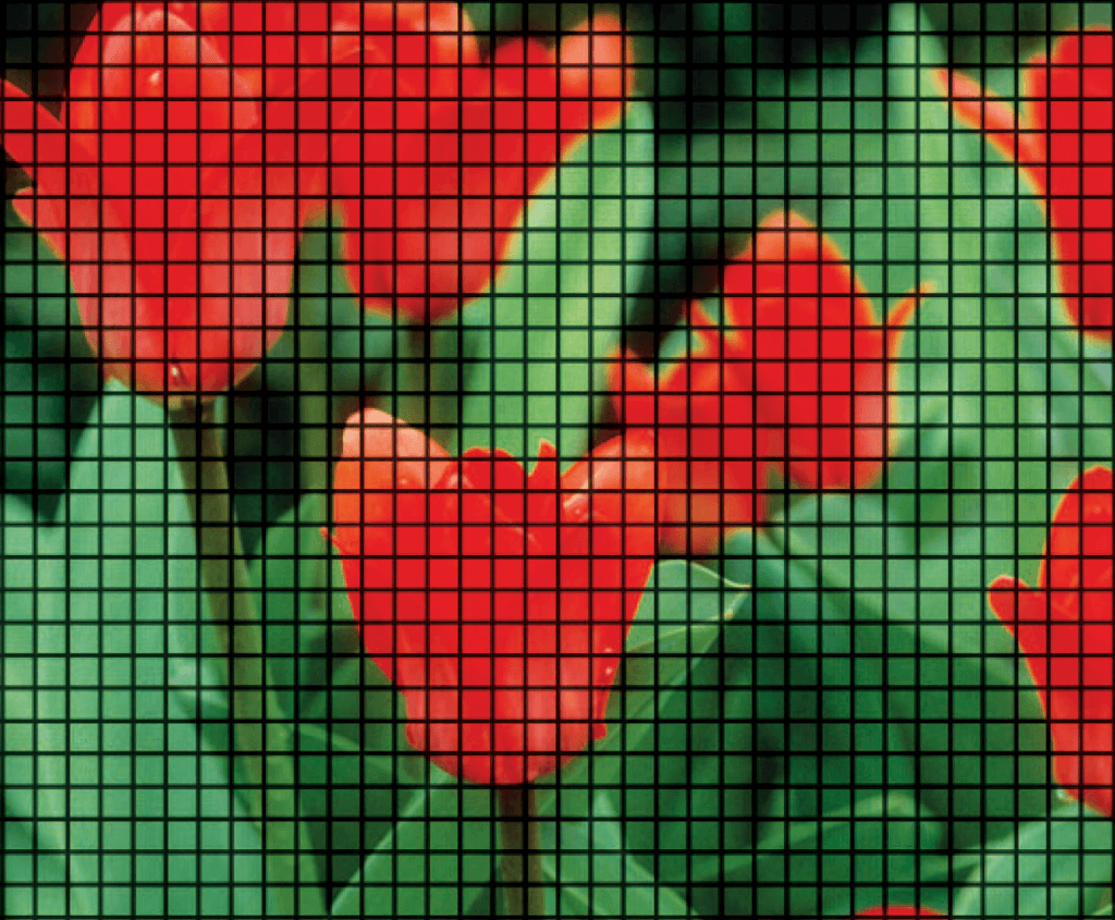 ThruVision Plus Screen
