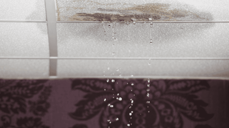 Unchecked Mold Growth